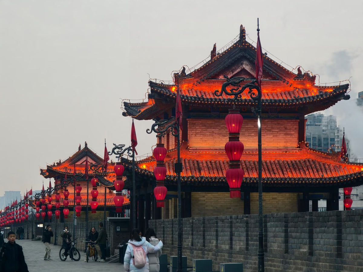Privater Xi'an-Tagesausflug: Terrakotta-Armee, Stadtmauer & Große Wildganspagode