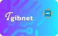gibnet-in-15days-2gb