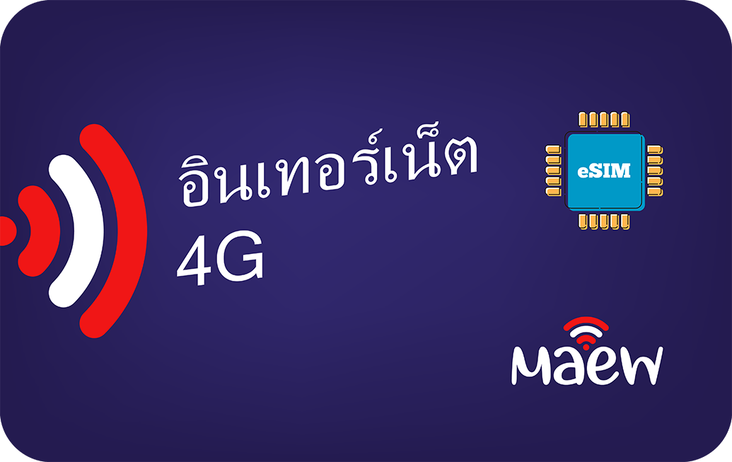 maew-in-30days-3gb