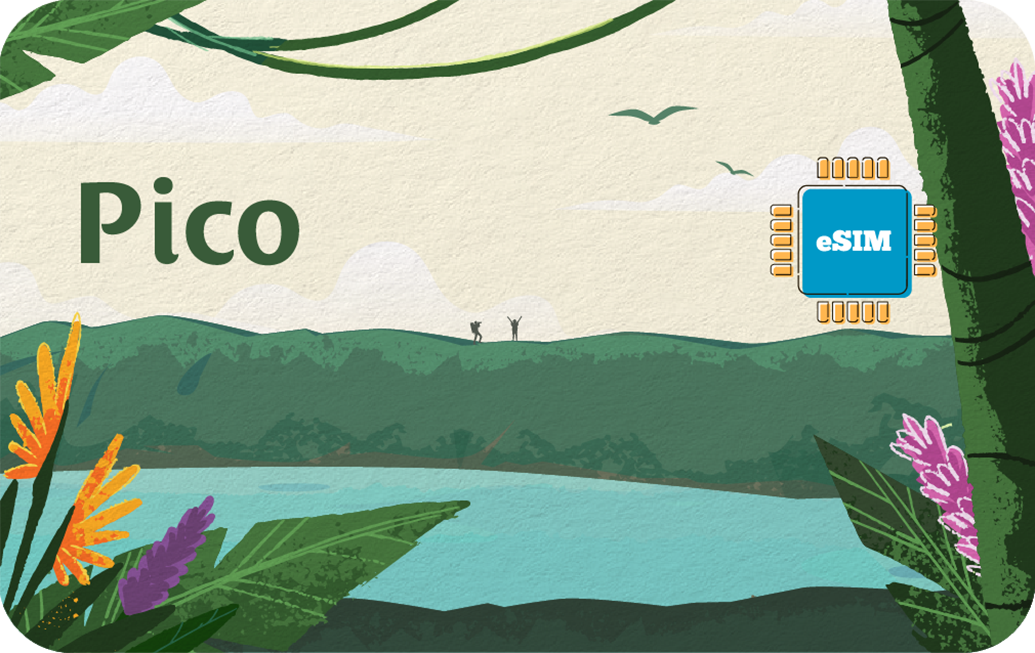 pico-in-30days-3gb