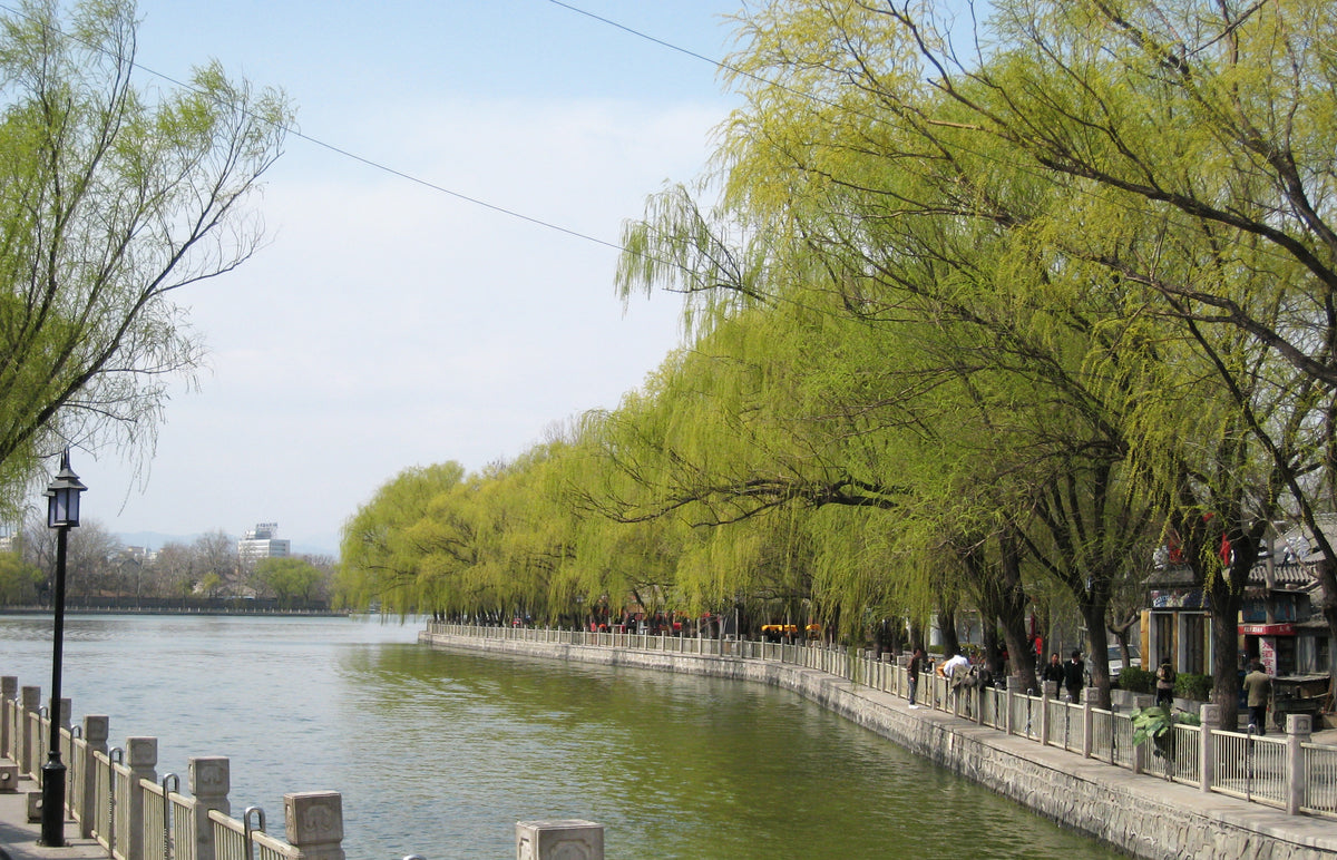 Hutongs and Shichahai, Beijing