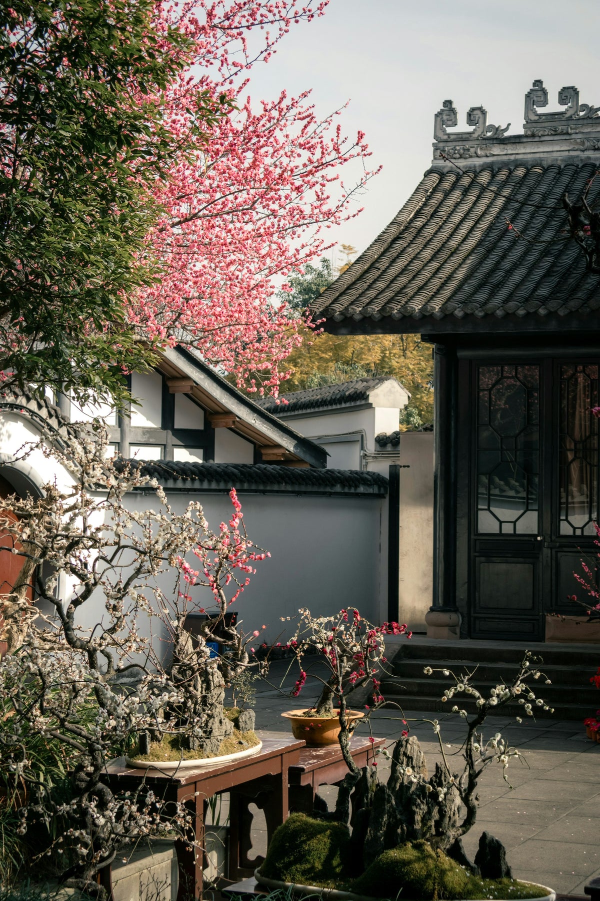 Du Fu Thatched Cottage, Chengdu