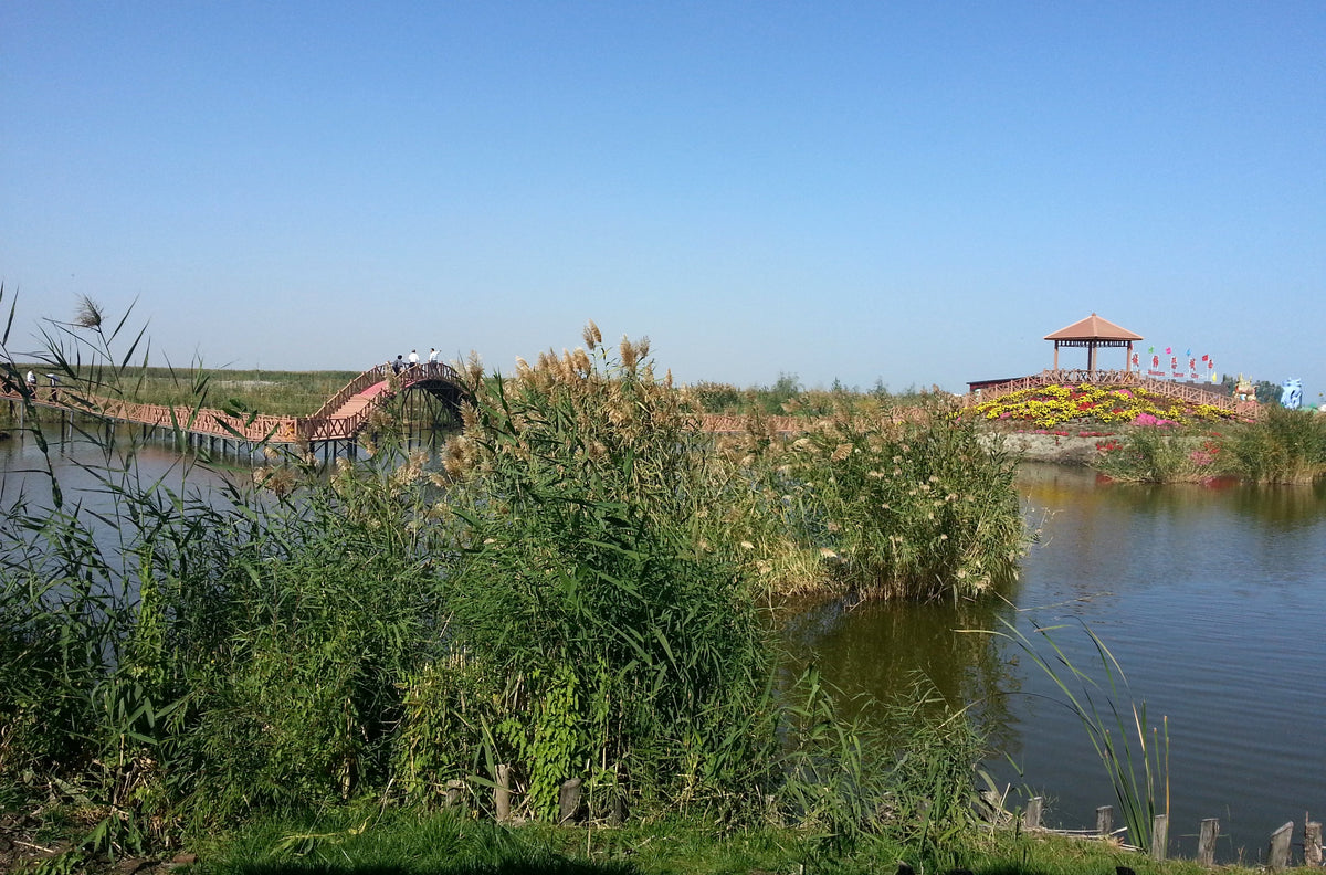 Bosten Lake in Xinjiang